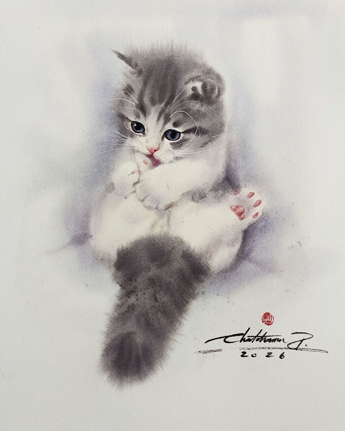 Cat Paintings