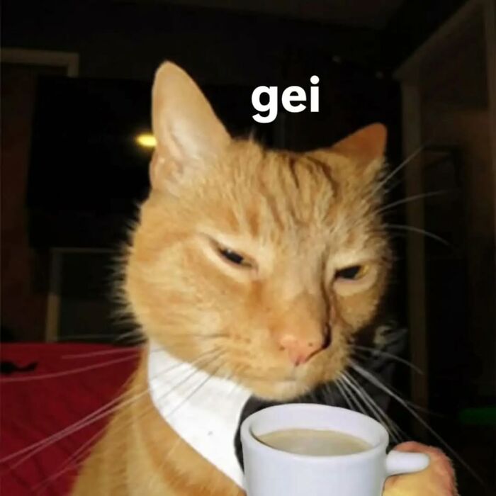 Ginger cat sipping coffee in funny meme with caption