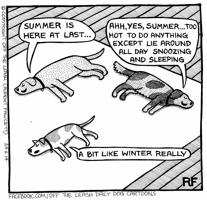 33 New “Off The Leash” Comics Perfectly Capture What Dogs Are Really Thinking
