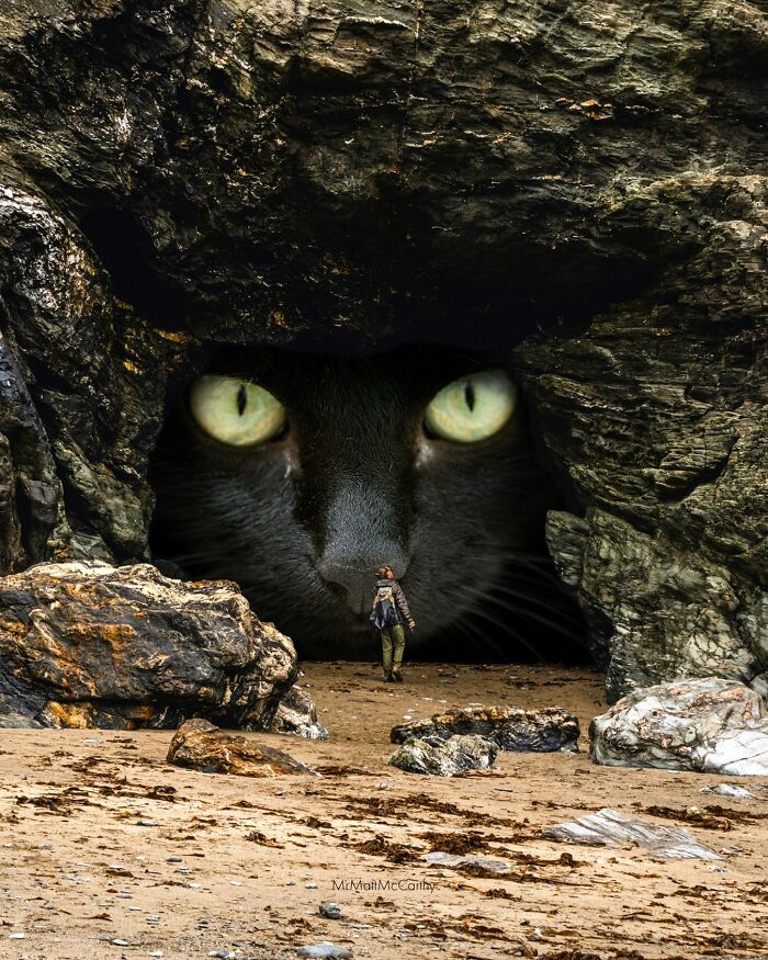 This Artist Imagines A World Where Giant Cats Rule Everything, And Here Are His 30 Newest Surreal Creations