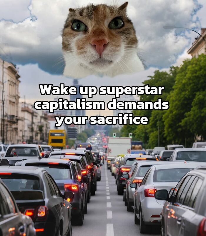 Catscouple-Making-Memes-Mrsmiuki