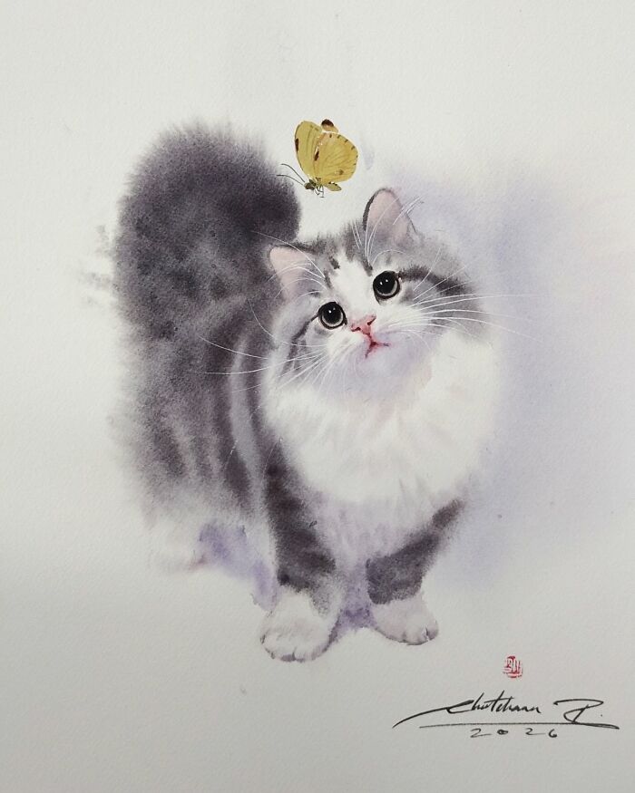 Cat Paintings