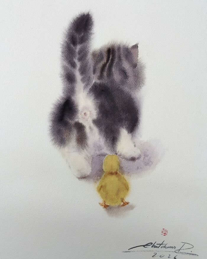 Cat Paintings