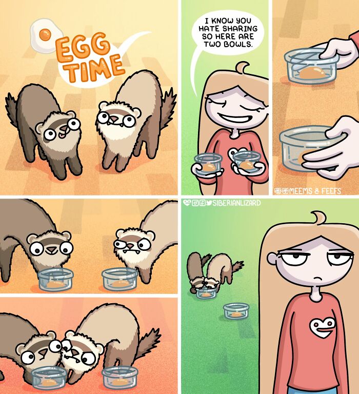Siberian girl feeds her two ferrets eggs in separate bowls, but they still eat from each other's. Funny situations.