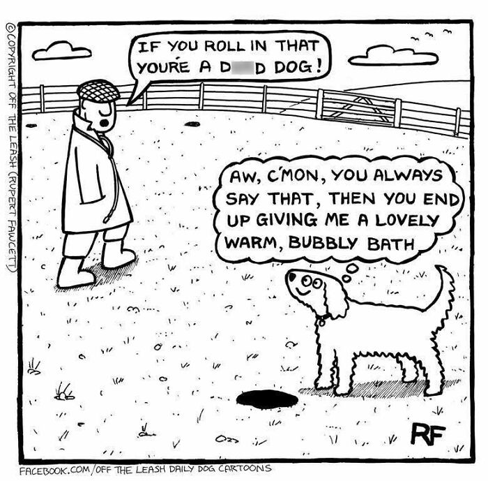33 New “Off The Leash” Comics Perfectly Capture What Dogs Are Really Thinking