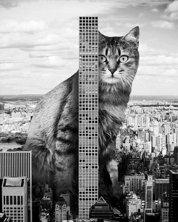 This Artist Imagines A World Where Giant Cats Rule Everything, And Here Are His 30 Newest Surreal Creations