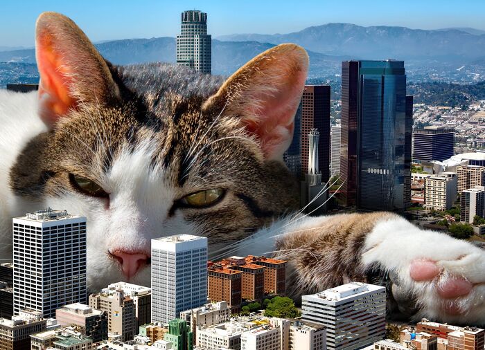 This Artist Imagines A World Where Giant Cats Rule Everything, And Here Are His 30 Newest Surreal Creations