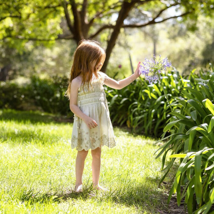 A young girl in a white dress touches a purple flower in a field, sparking parenting concerns in Meghan Markle's Father's Day photo. A young girl in a white dress touches a purple flower in a field, sparking parenting concerns in Meghan Markle's Father's Day photo.