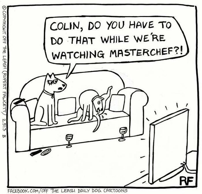 33 New “Off The Leash” Comics Perfectly Capture What Dogs Are Really Thinking