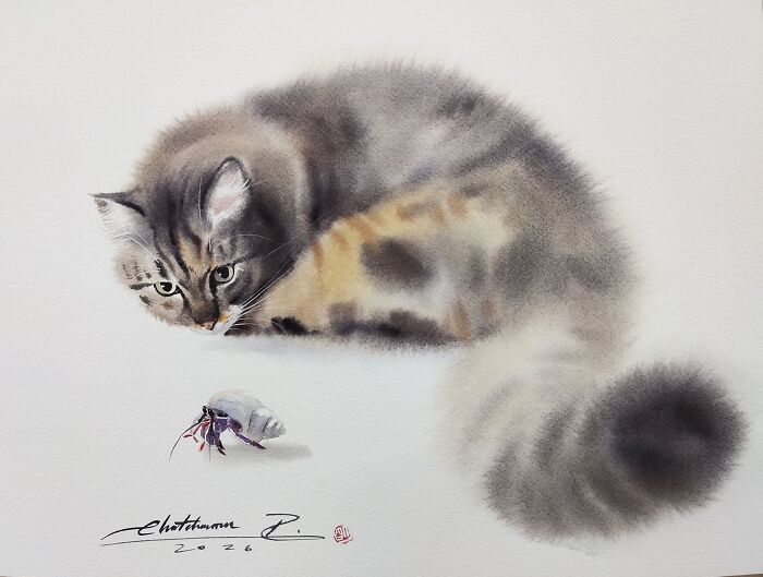 Cat Paintings