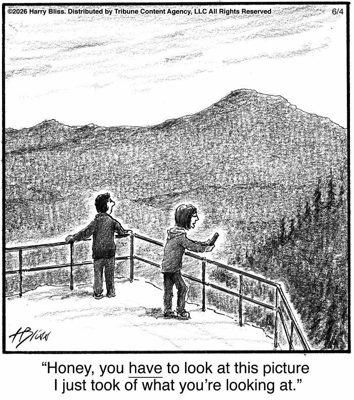 A New Yorker Magazine cartoonist's clever one-panel comic depicts a couple on a mountain overlook. One photographs the view.