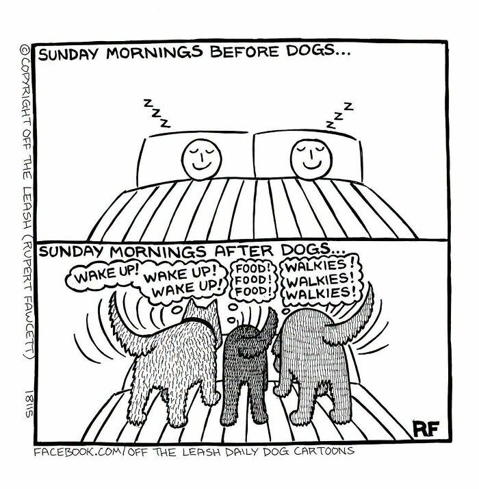 33 New “Off The Leash” Comics Perfectly Capture What Dogs Are Really Thinking