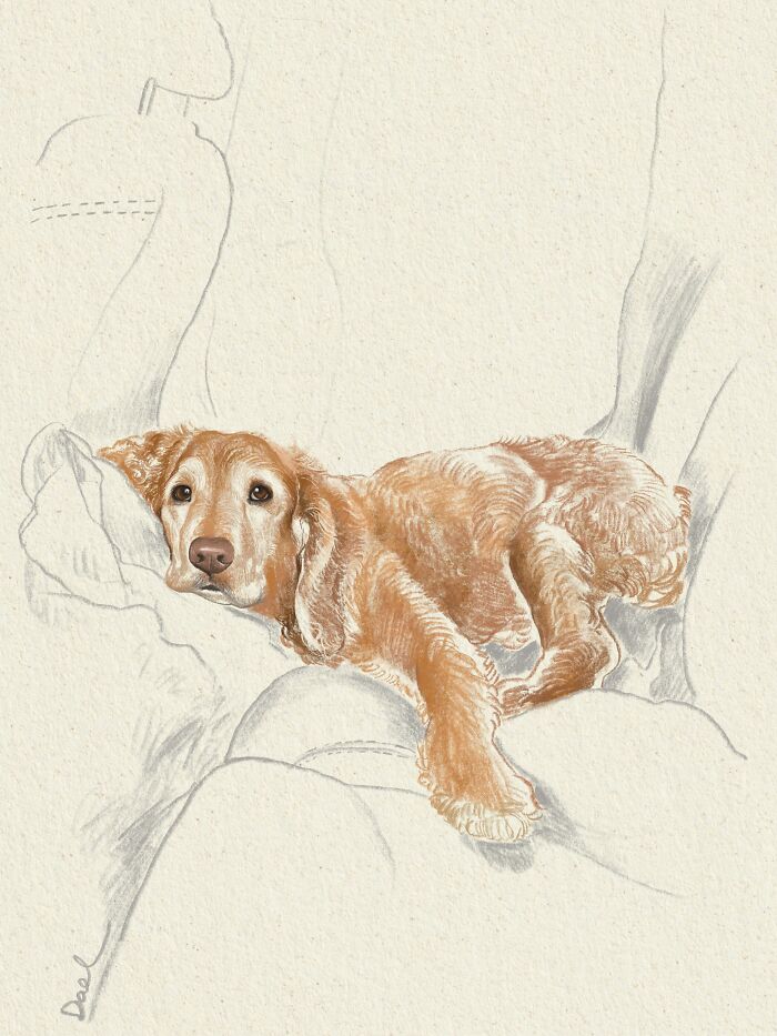 This Artist Draws Dog Portraits That Perfectly Capture Each Pet’s Personality (76 Pics)