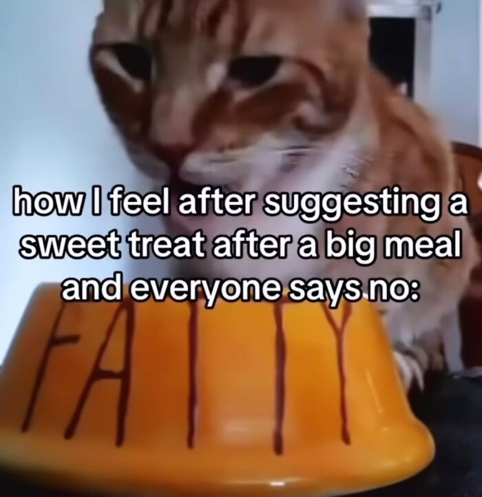 Funny cat meme showing cat with a fat food bowl and text about feeling rejected