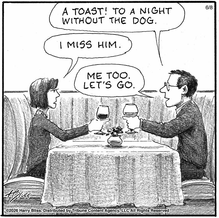 A New Yorker Magazine cartoonist's one-panel comic shows a couple toasting with wine glasses at a restaurant.