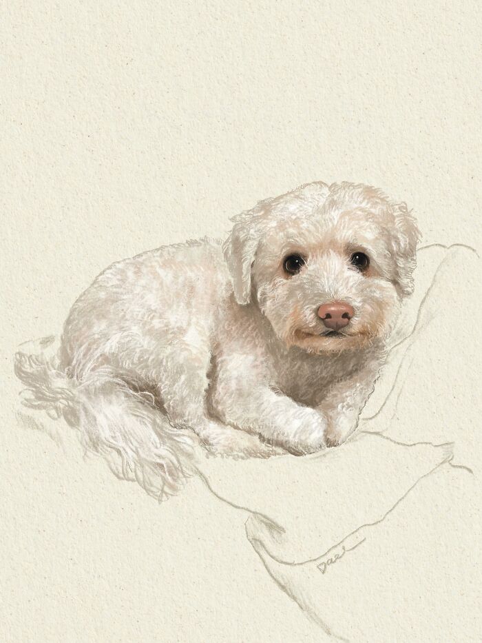 This Artist Draws Dog Portraits That Perfectly Capture Each Pet’s Personality (76 Pics)