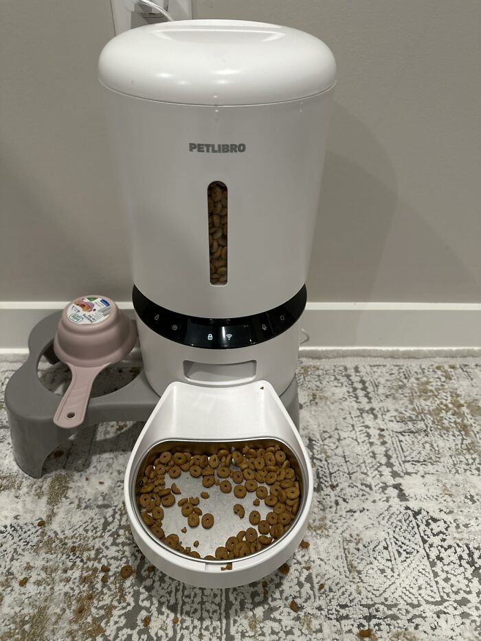 A white automatic pet feeder by PETLIBRO, filled with kibble, featuring Prime Day Deals for pet supplies.