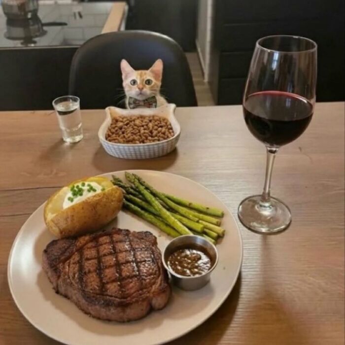 63 Adorable Cat Photos Shared By “Cute Animal Photos To De-Stress” That Are Guaranteed To Brighten Your Day