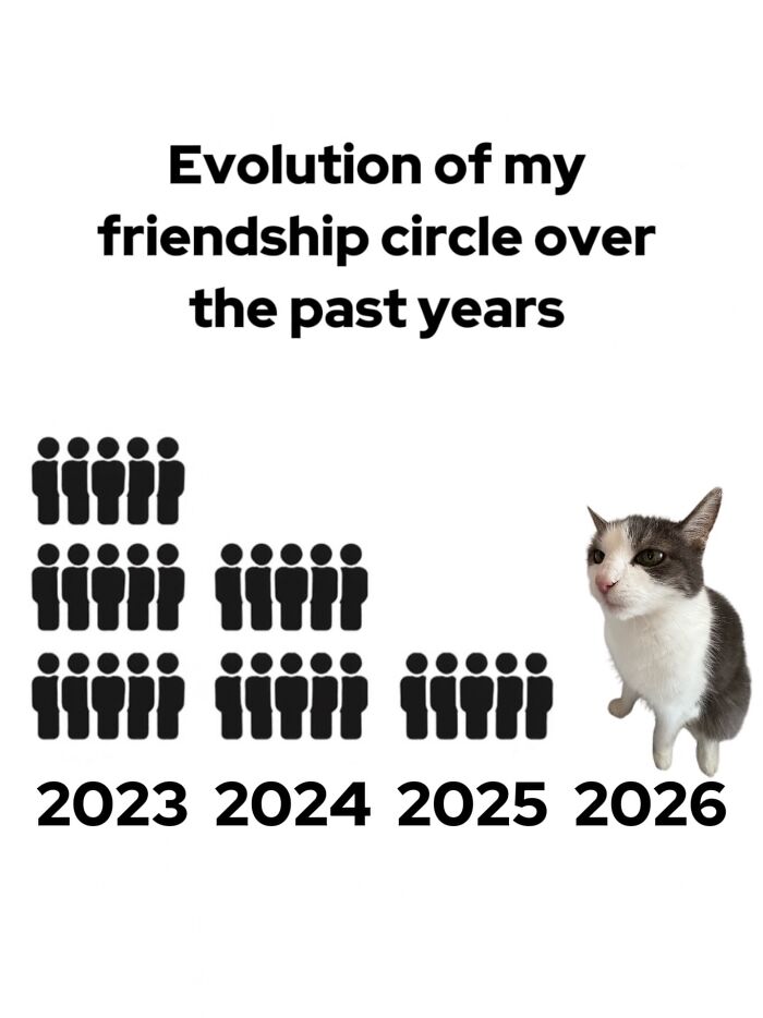Catscouple-Making-Memes-Mrsmiuki