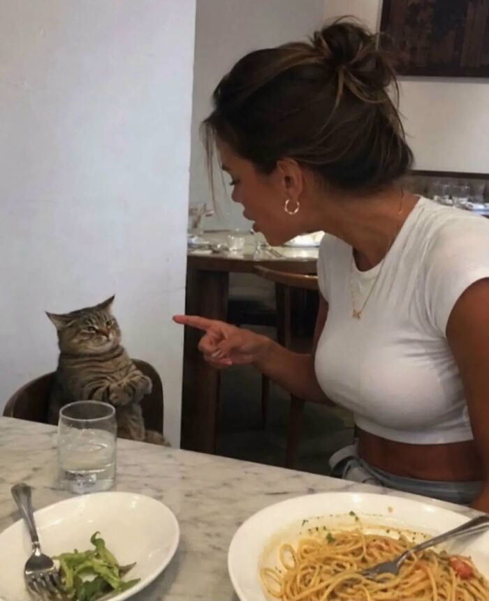 63 Adorable Cat Photos Shared By “Cute Animal Photos To De-Stress” That Are Guaranteed To Brighten Your Day