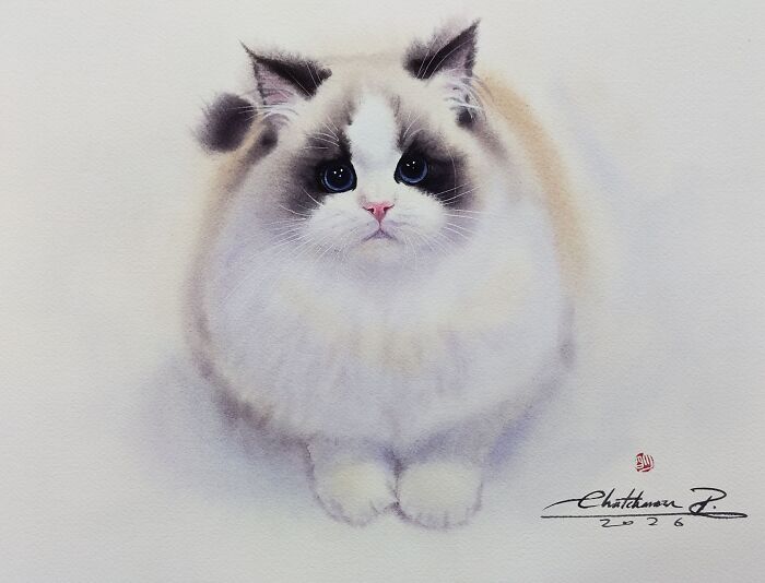 Cat Paintings