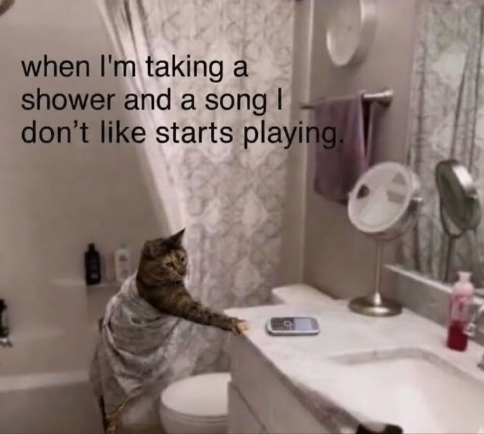 Cat wrapped in towel in bathroom with funny shower cat meme