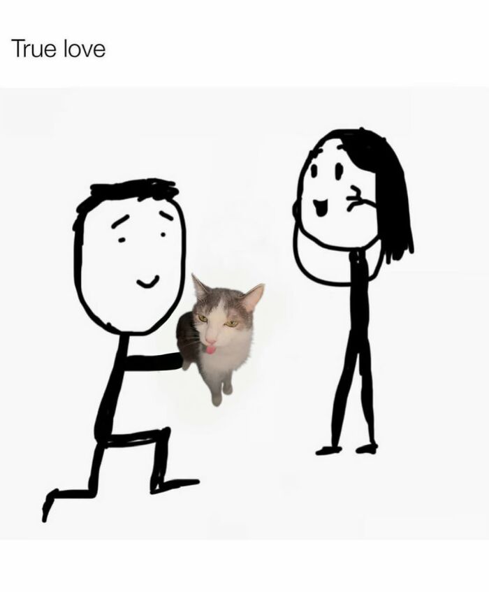 Catscouple-Making-Memes-Mrsmiuki