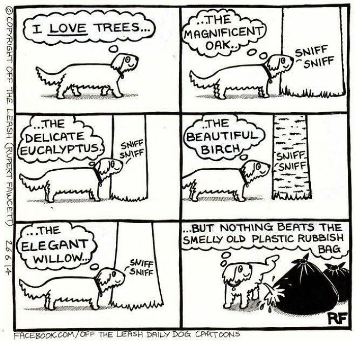 33 New “Off The Leash” Comics Perfectly Capture What Dogs Are Really Thinking