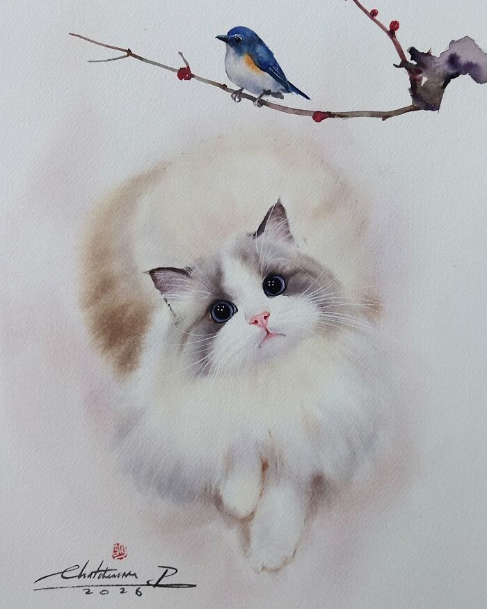 Cat Paintings