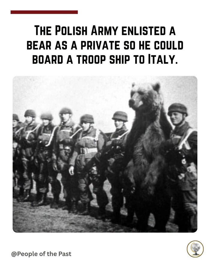 A black and white historical post showing a bear enlisted in the Polish Army alongside soldiers, a fascinating historical post.