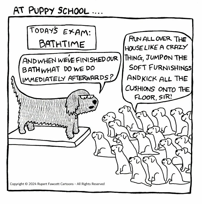 33 New “Off The Leash” Comics Perfectly Capture What Dogs Are Really Thinking