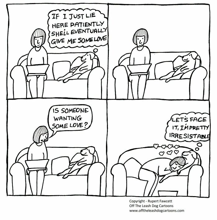33 New “Off The Leash” Comics Perfectly Capture What Dogs Are Really Thinking