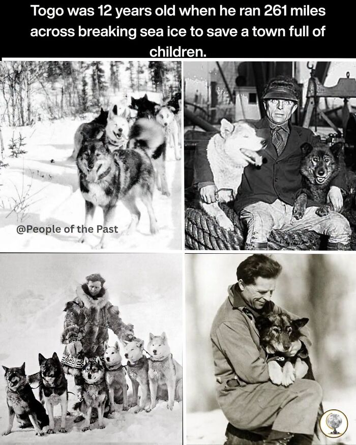 A historical post of Togo the dog team and his owner, showing their incredible bond and heroic journey.