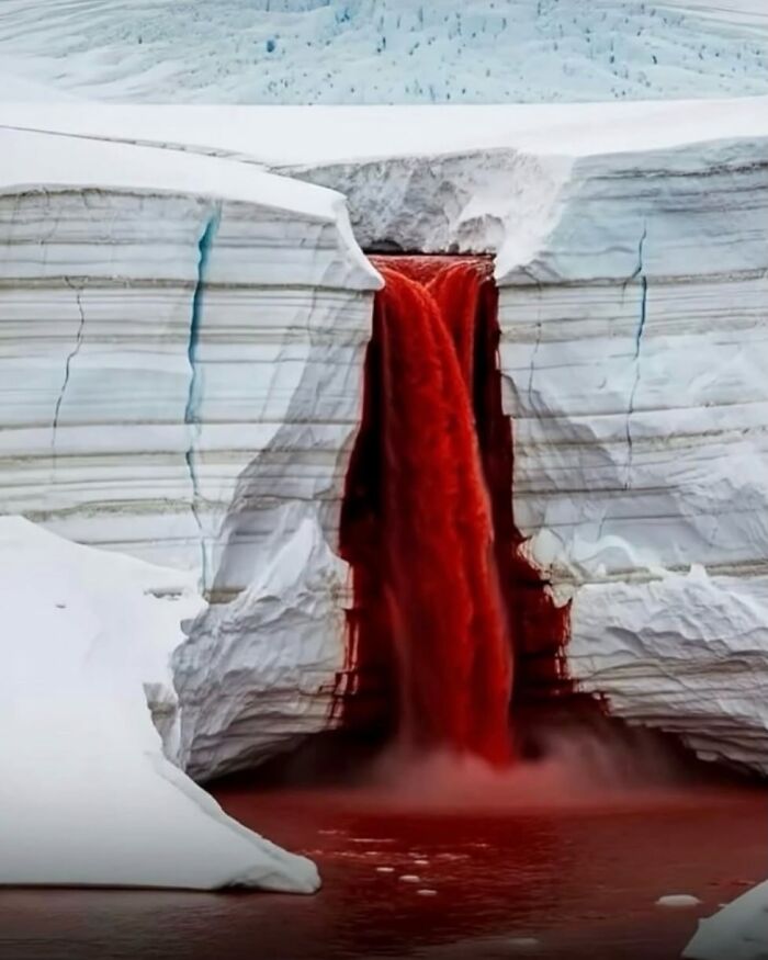 Antarctica's Most Unusual Natural Phenomena, Known As "Blood Falls"