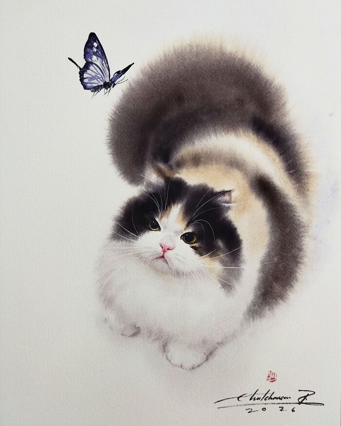 Cat Paintings