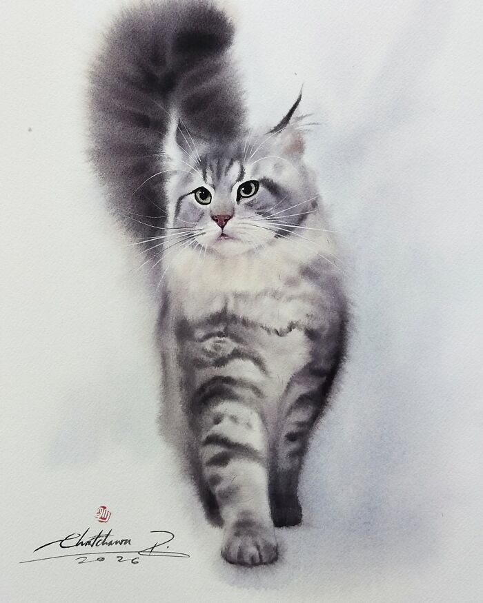 Cat Paintings