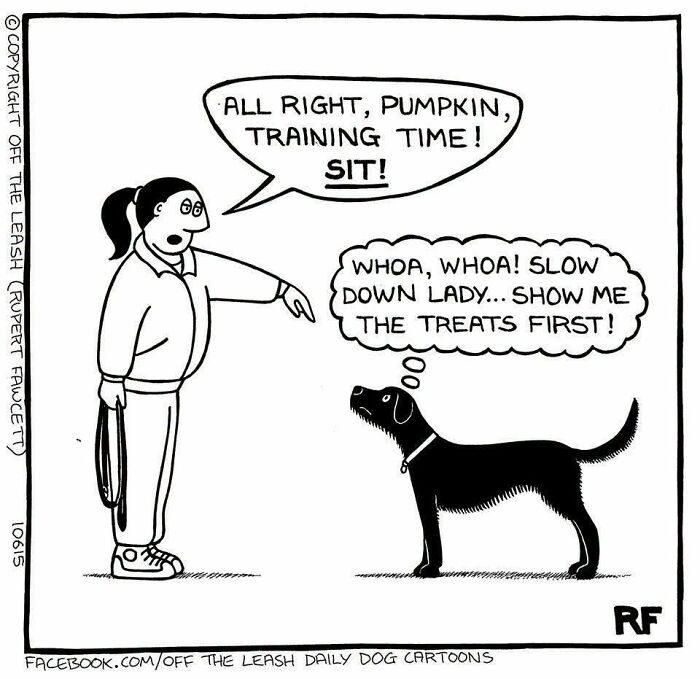33 New “Off The Leash” Comics Perfectly Capture What Dogs Are Really Thinking
