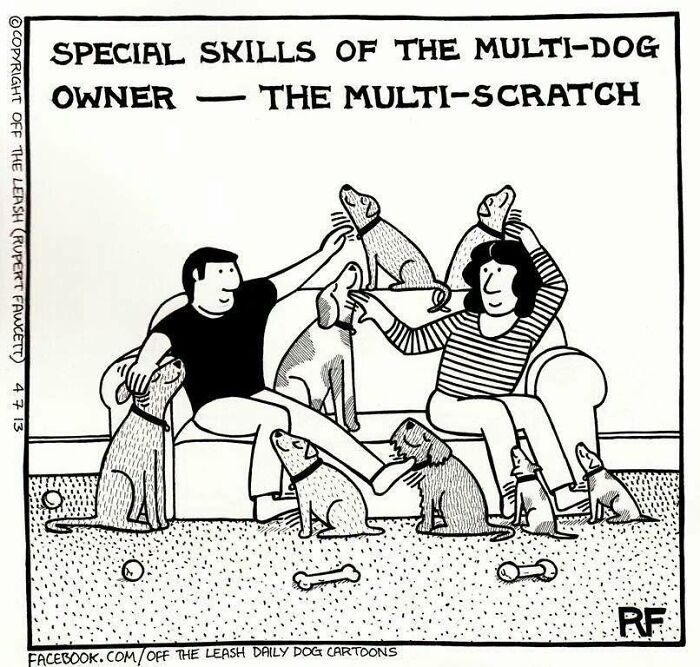 33 New “Off The Leash” Comics Perfectly Capture What Dogs Are Really Thinking