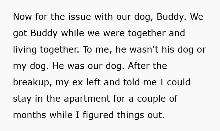 Description of shared dog custody after breakup Description of shared dog custody after breakup