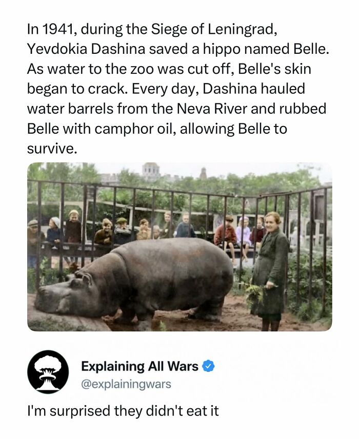 Yevdokia Dashina saved a hippo during the Siege of Leningrad, a powerful story from the history of wars.