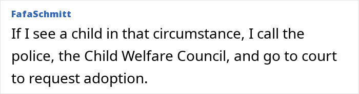 Screenshot of a comment from 'FafaSchmitt' about calling police and Child Welfare Council, and requesting adoption for a child in need.