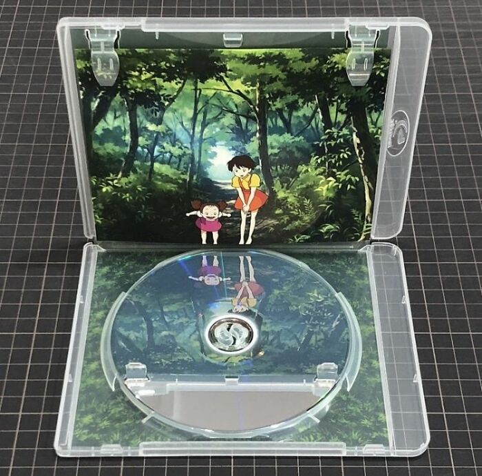 Creative DVD case design with forest and characters reflected on the disc