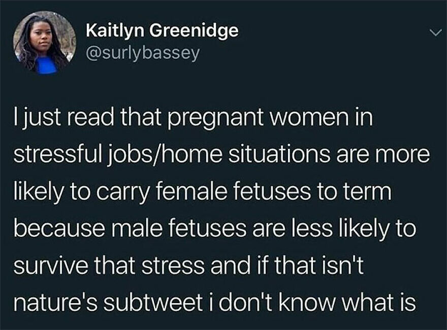 Tweet about pregnant women under stress more likely to carry female fetuses to term.