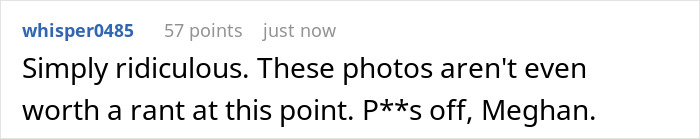 Comment calling Meghan Markle's photo dump featuring Lilibet ridiculous and not worthy of rant