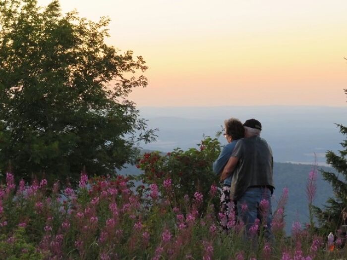 An elderly couple embracing, watching the sunset over mountains and flowers, embodying the wholesome photo trend.