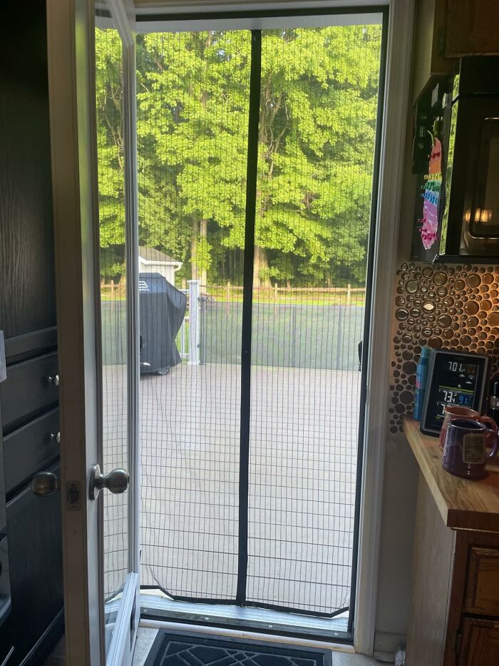 An open door with a magnetic screen, revealing a backyard. A great home find for outdoor living.