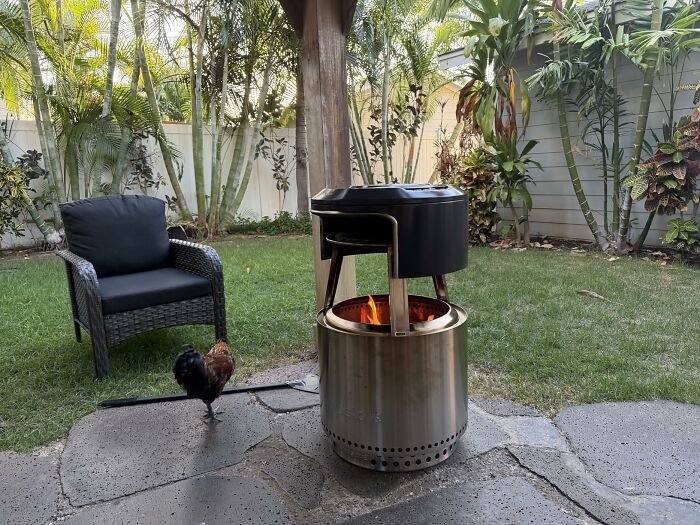 Outdoor fire pit with chicken near black chair in garden setting