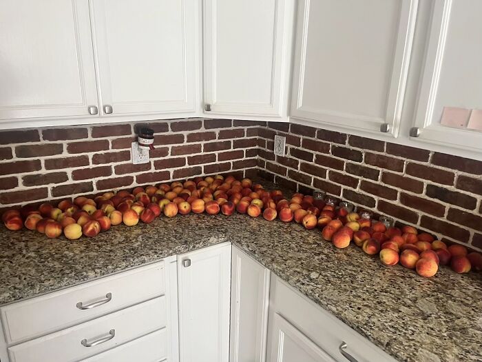 A counter full of bizarre peaches, creating more questions than answers.