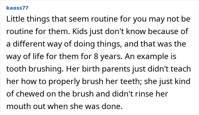 A screenshot of a personal story about adoption, detailing an adopted childs unique adjustments to a new family.