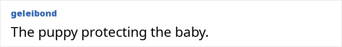 Screenshot of a user comment describing a puppy protecting the baby found crawling out at night.